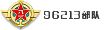 96213(du)